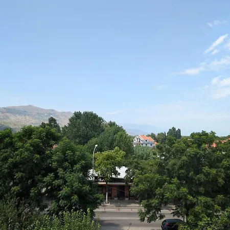 In Center * Shkoder